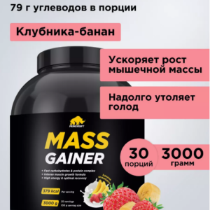 MASS GAINER