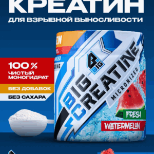 BIG CREATINE PRO SPORTIF